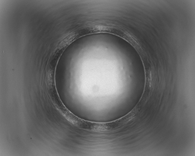 X0000079300410200612011755