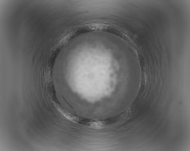 X0000079300411200612011755