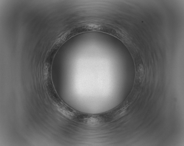 X0000079300412200612011755
