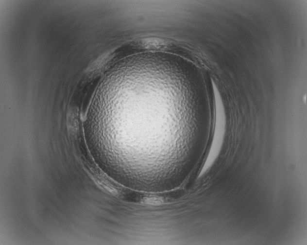 X0000079300413200612011755