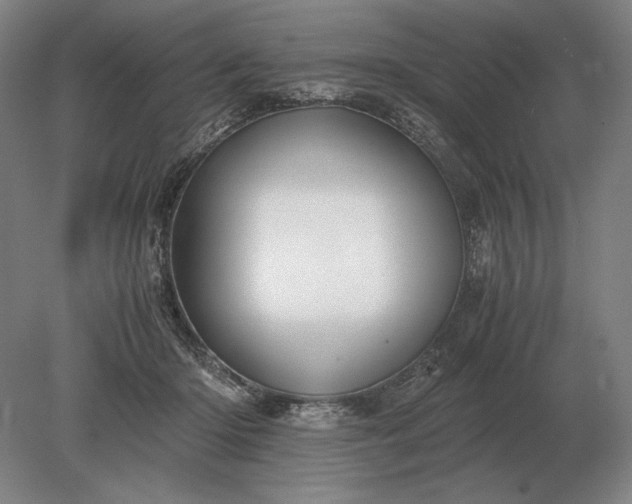X0000079300414200612011755