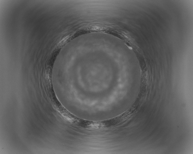 X0000079300415200612011755