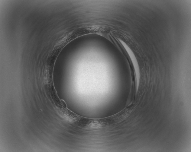 X0000079300416200612011755