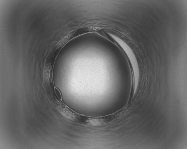 X0000079300417200612011755