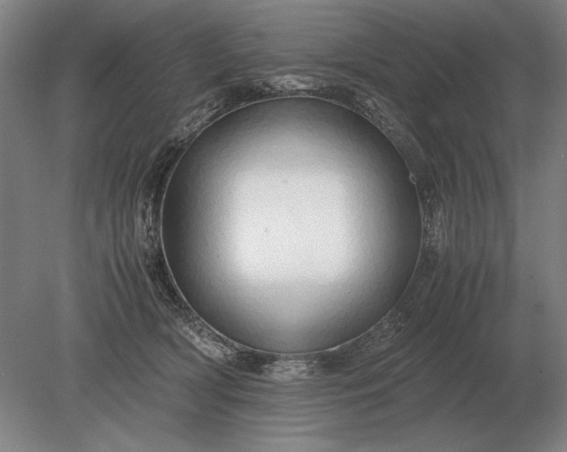 X0000079300418200612011755