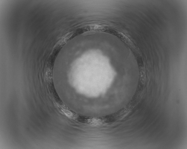 X0000079300419200612011755