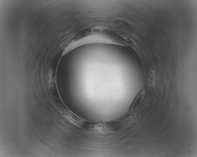 X0000079300420200612011755