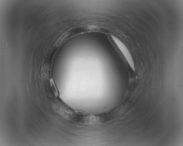 X0000079300421200612011755