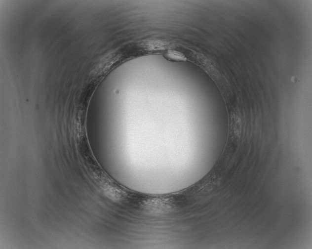 X0000079300422200612011755