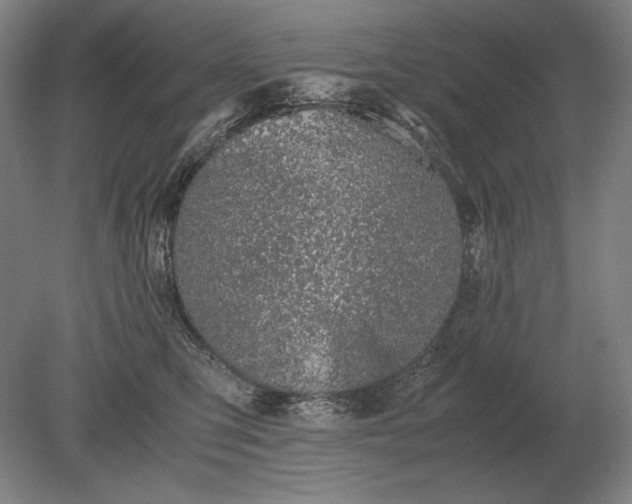X0000079300423200612011754