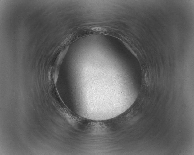 X0000079300424200612011754