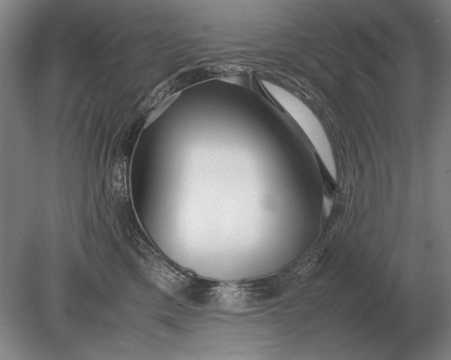 X0000079300425200612011754
