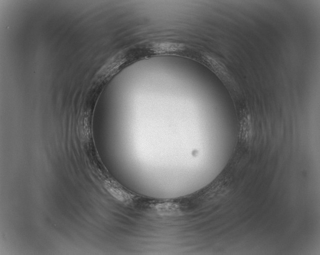 X0000079300426200612011754