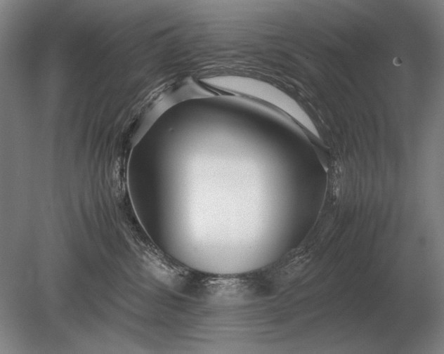 X0000079300428200612011754