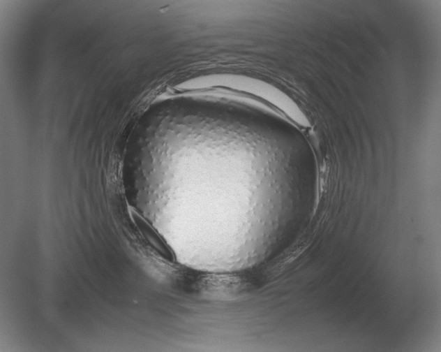 X0000079300429200612011754