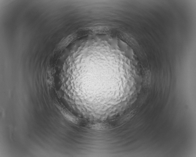 X0000079300430200612011754