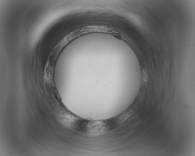 X0000079300431200612011754