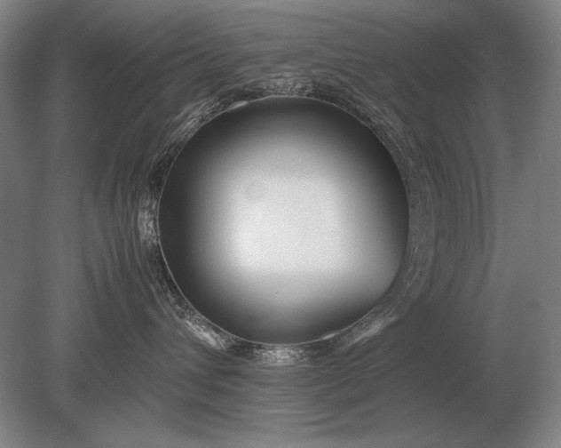 X0000079300432200612011754