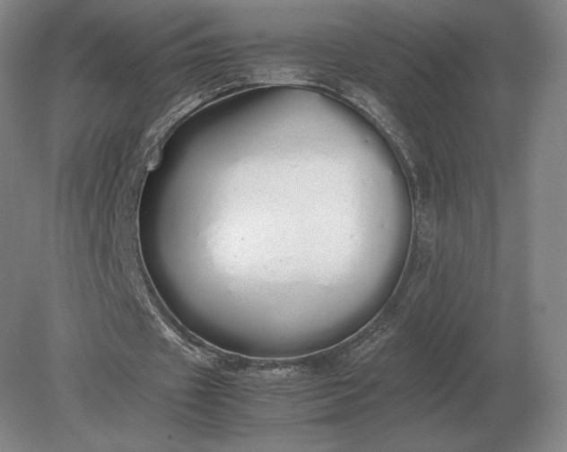 X0000079300433200612011754