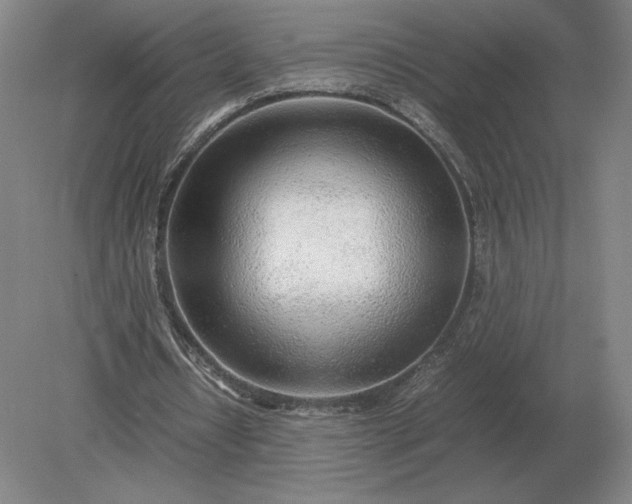 X0000079300434200612011754