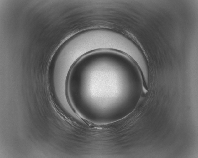 X0000079300435200612011754