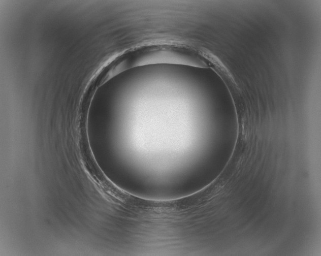 X0000079300436200612011754