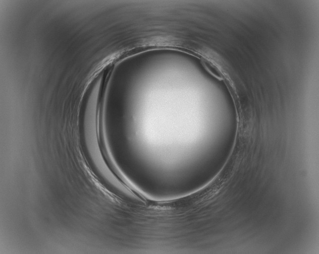 X0000079300437200612011754