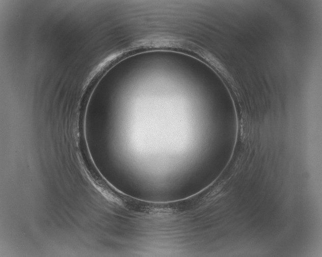 X0000079300438200612011754