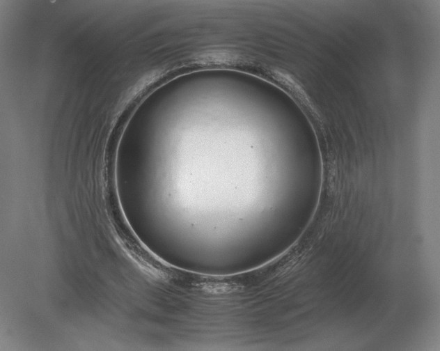 X0000079300439200612011754