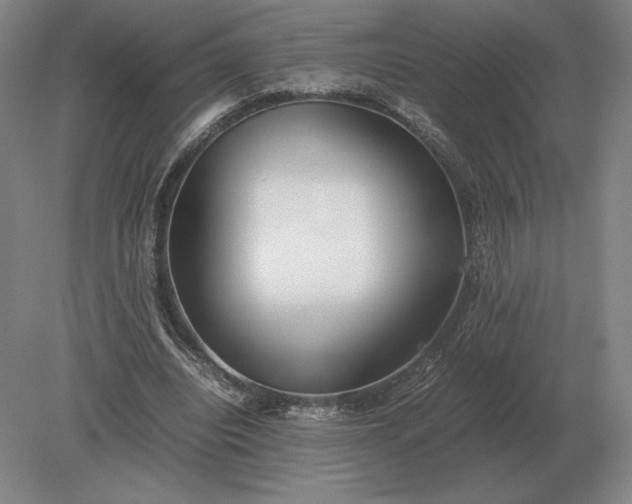 X0000079300440200612011754