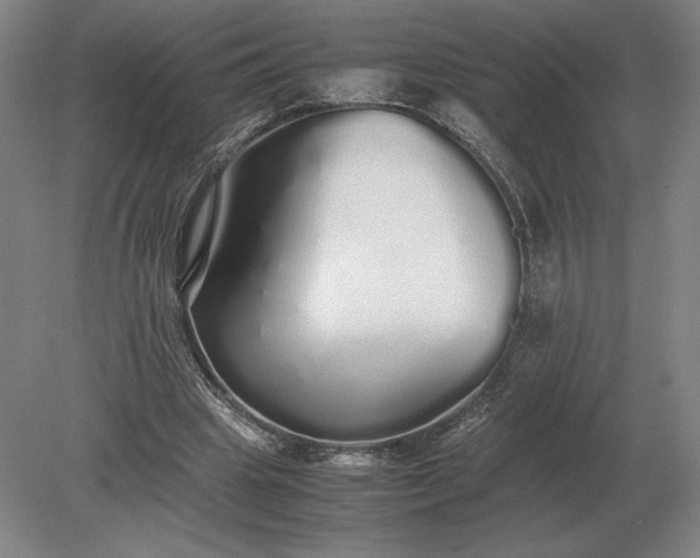 X0000079300441200612011754