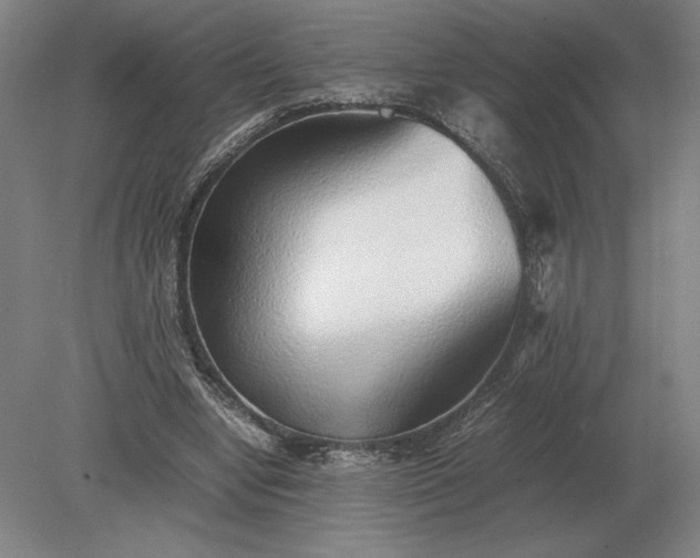 X0000079300442200612011754