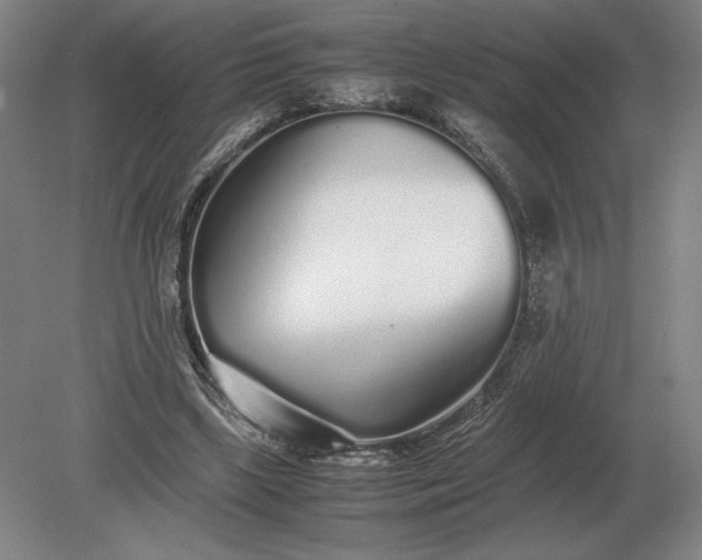 X0000079300443200612011754
