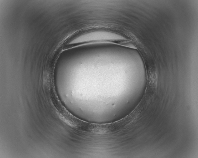 X0000079300444200612011754