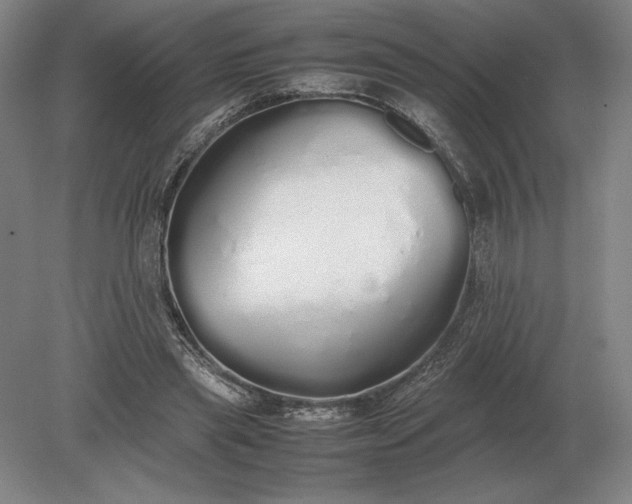 X0000079300445200612011754