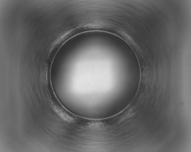 X0000079300446200612011754