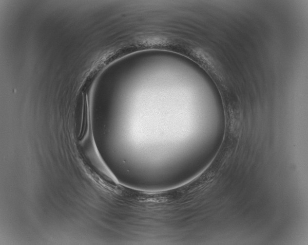 X0000079300447200612011754