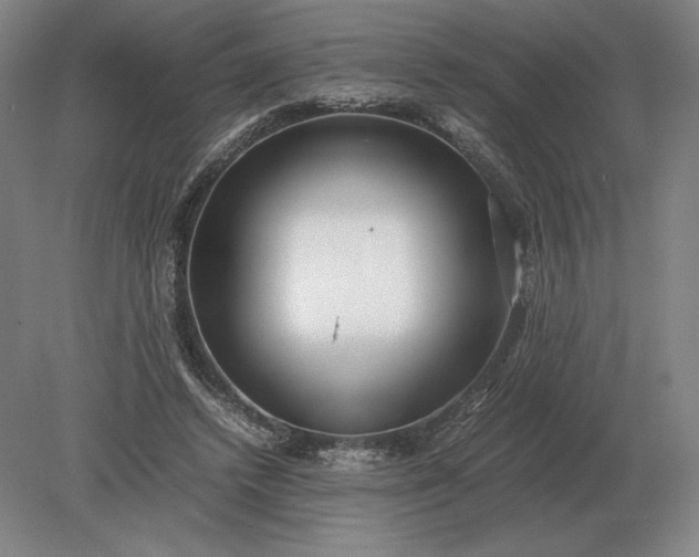 X0000079300448200612011754