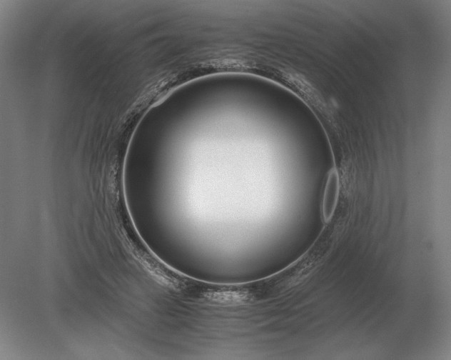 X0000079300449200612011754
