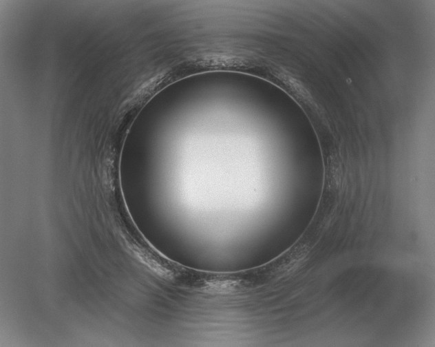X0000079300450200612011754