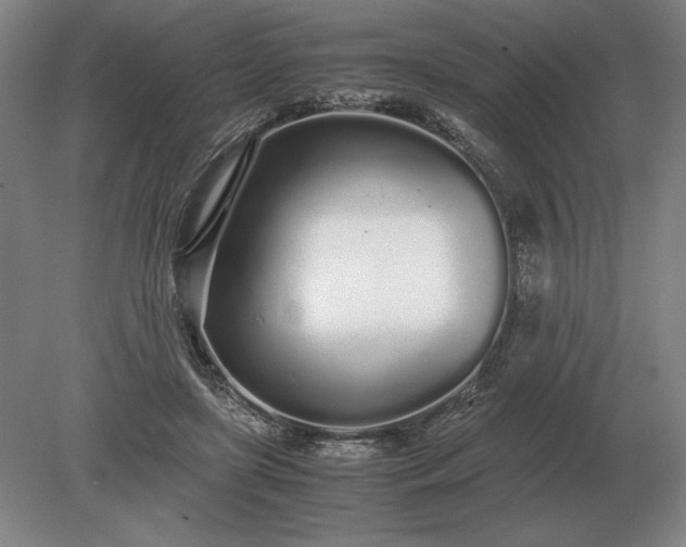 X0000079300451200612011754