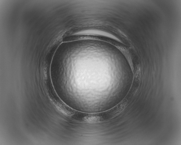 X0000079300452200612011754