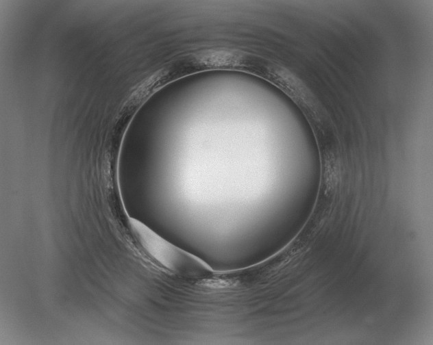 X0000079300453200612011754