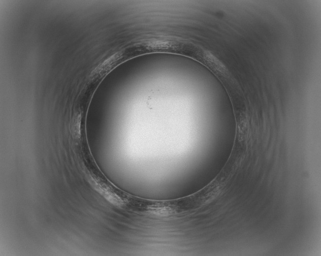 X0000079300454200612011754