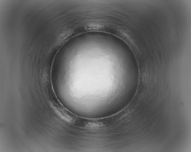 X0000079300455200612011754