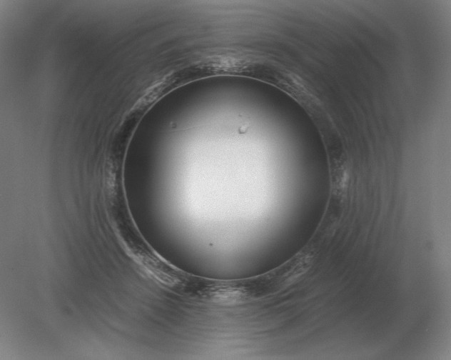 X0000079300456200612011754