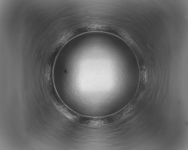 X0000079300458200612011754
