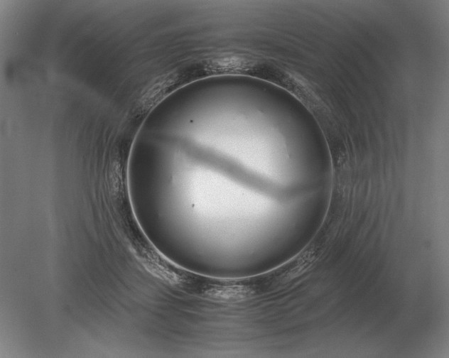 X0000079300459200612011754