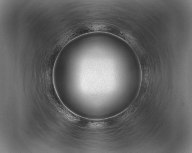 X0000079300461200612011754