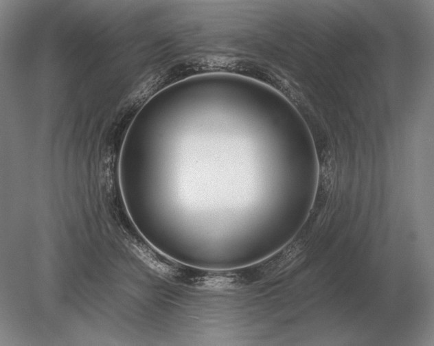 X0000079300462200612011754